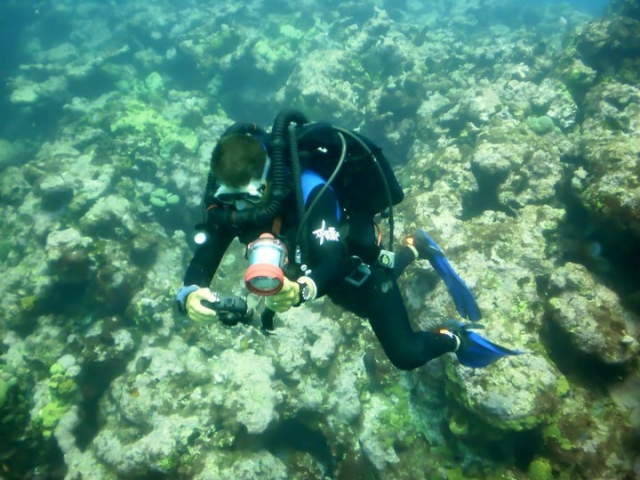 fotografia submarina